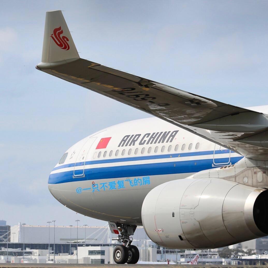 一只不爱复飞的屑