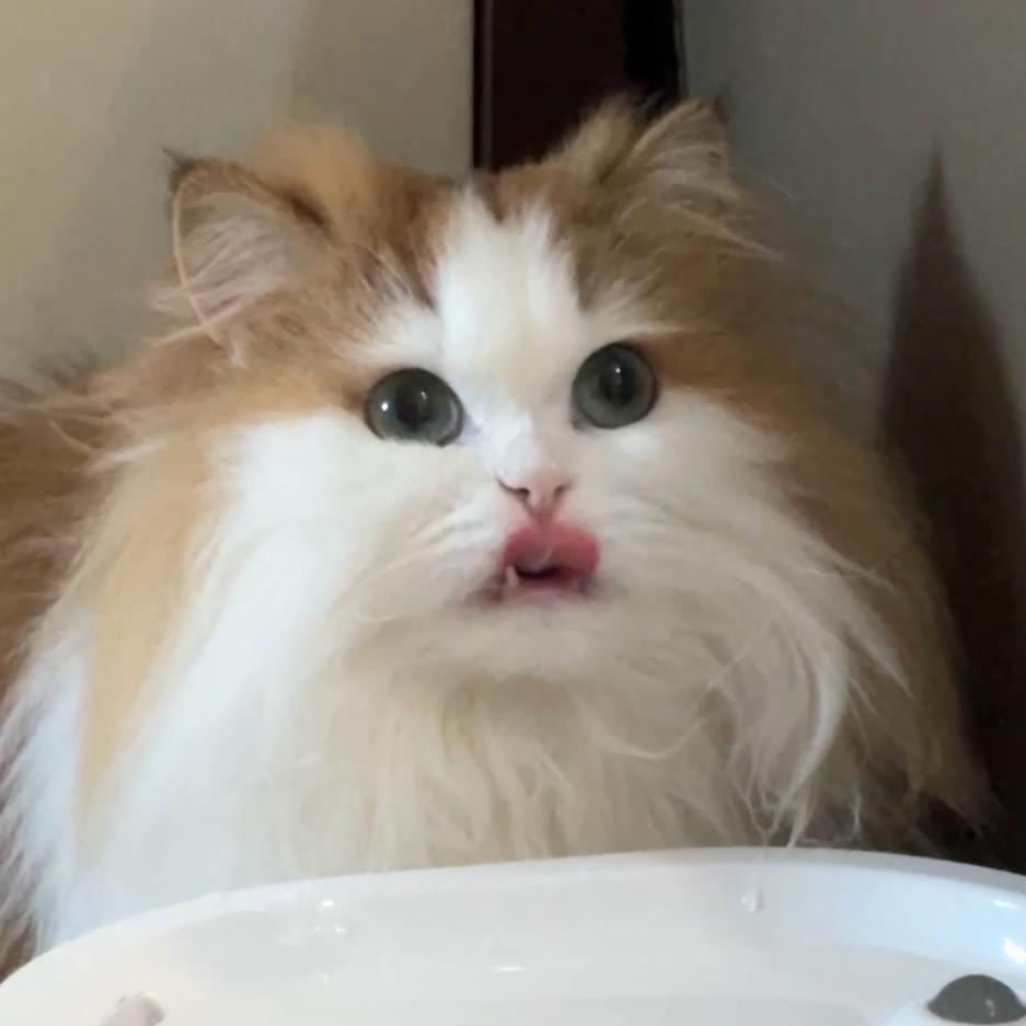 钟何