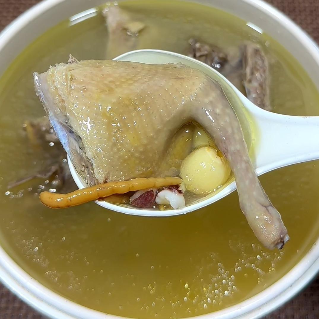杞仁春滋补