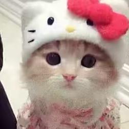 璐璐