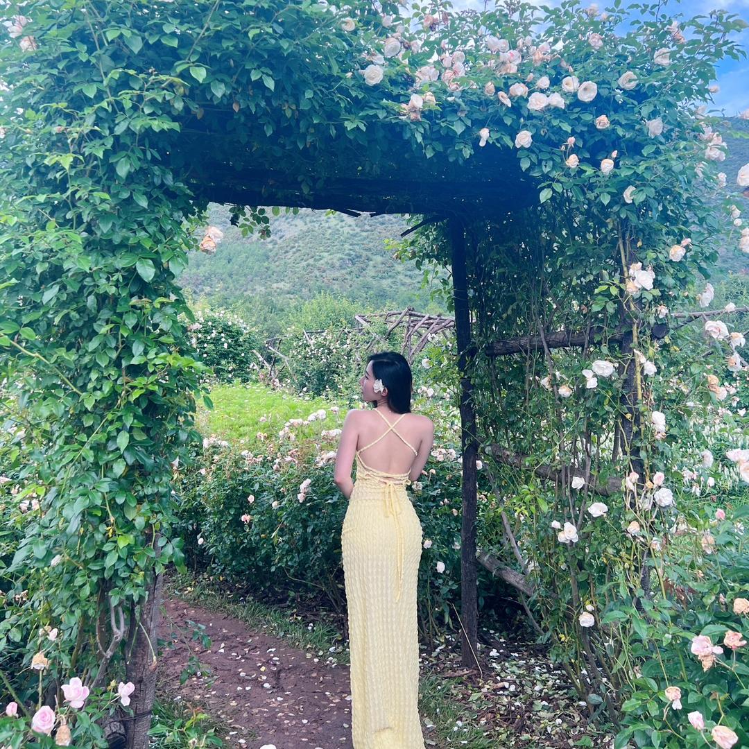 陈.