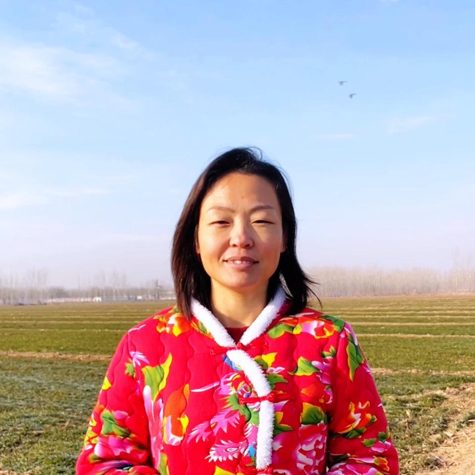 河北助农人盼盼