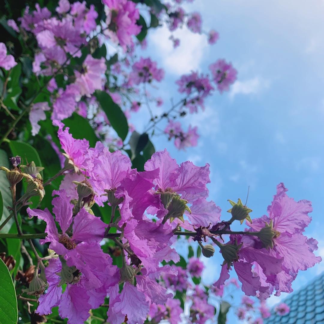 @姐台