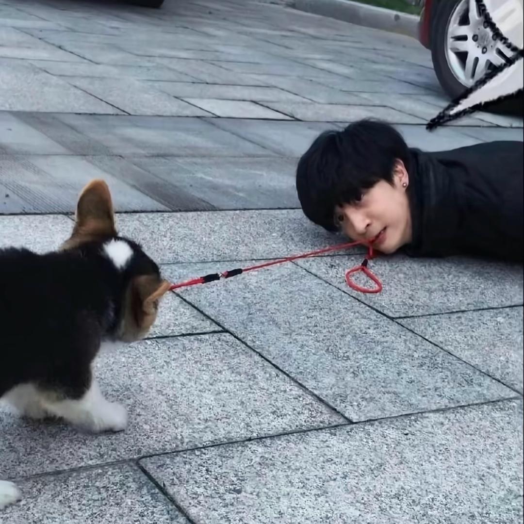 见面请叫薛之谦