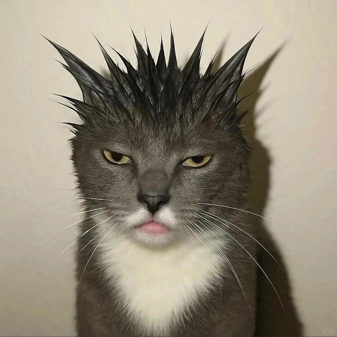 上海杨浦发型设计Steven