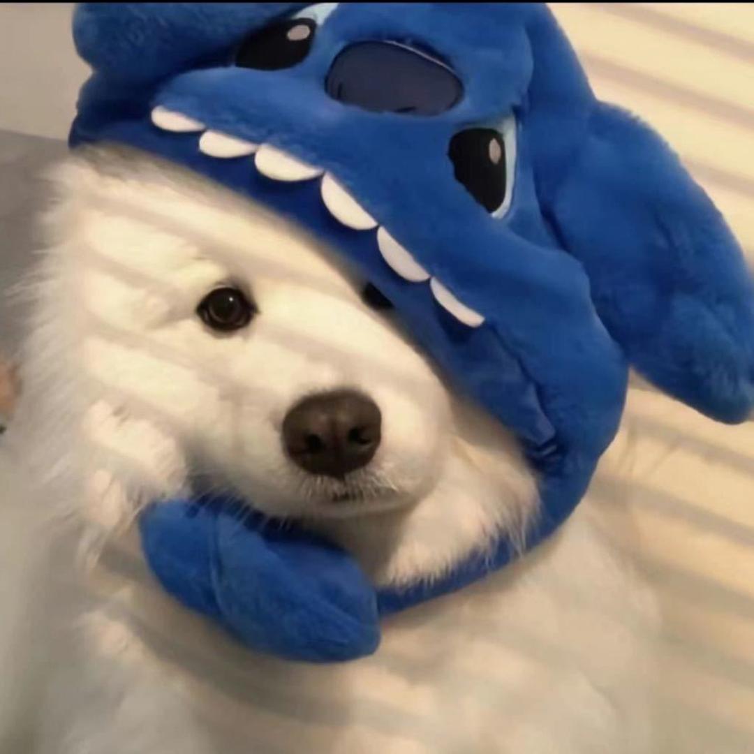 顾于（三角州行动）