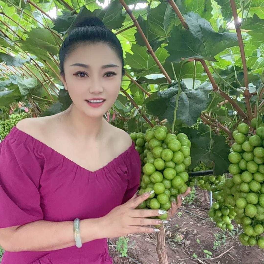 小白菜「西昌产区葡萄」