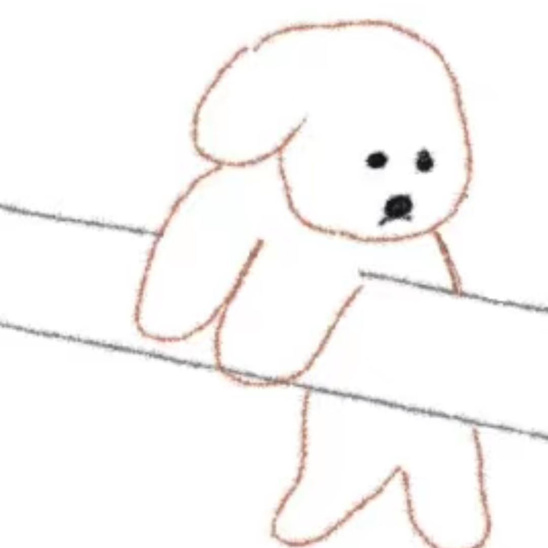 抓老师