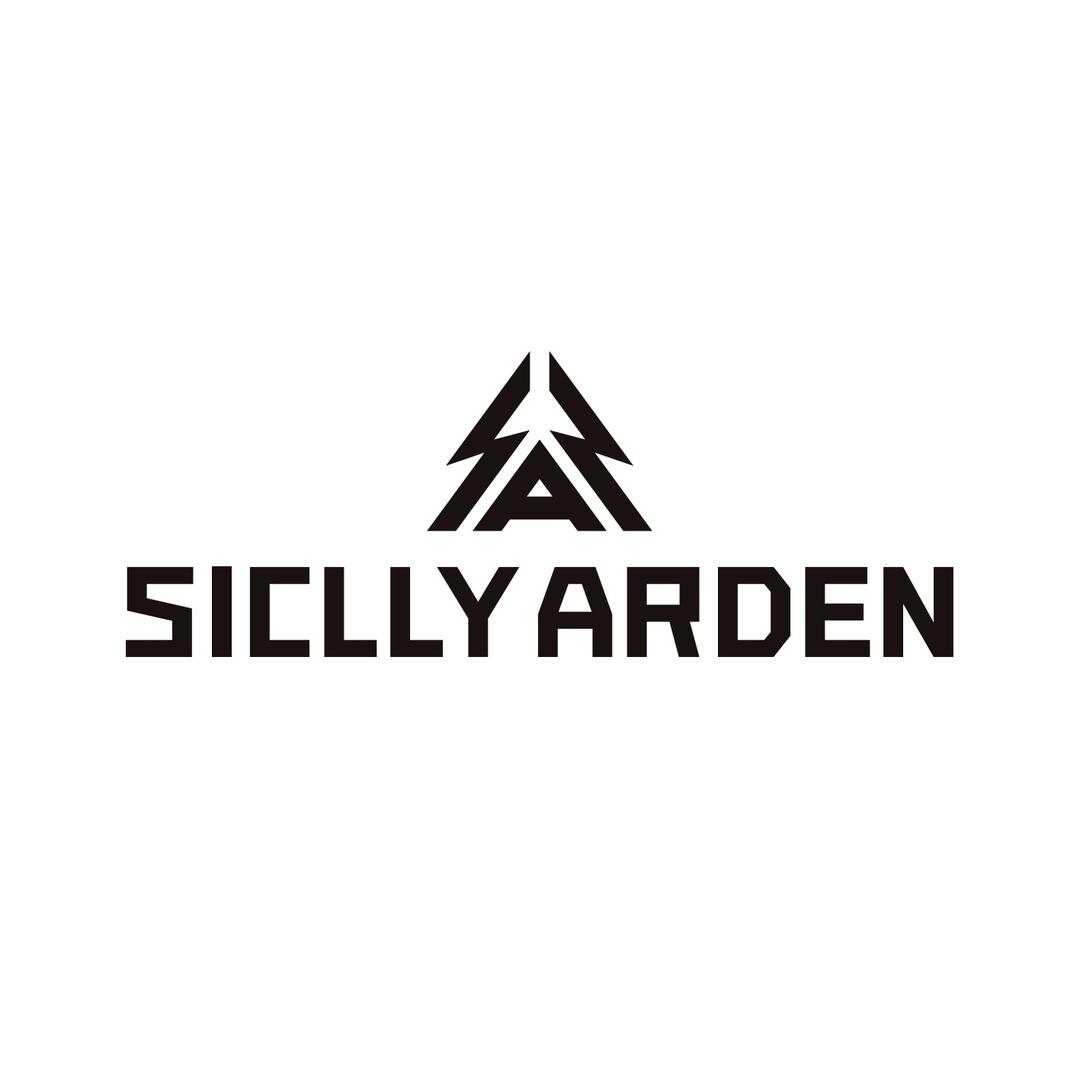 Siclly Arden男士造型