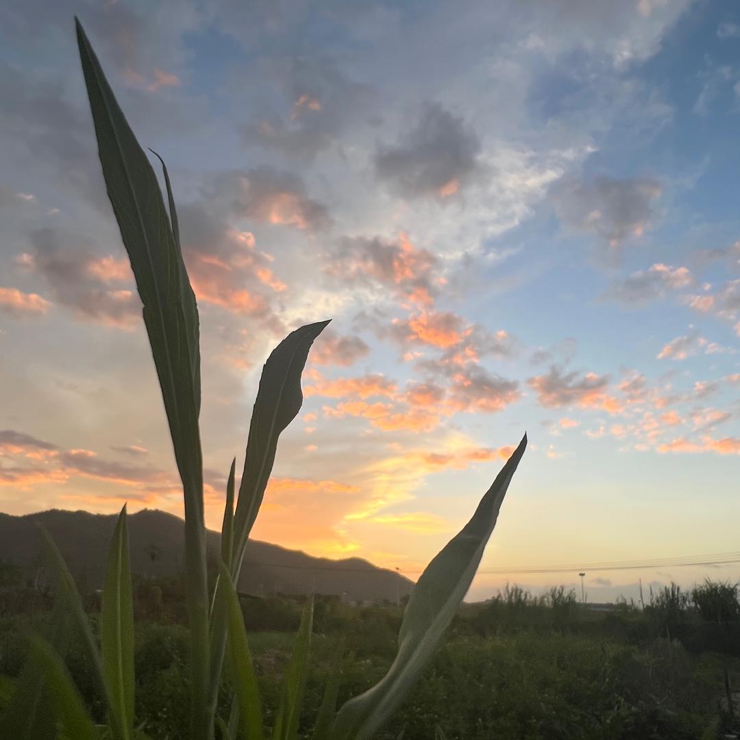 假愈合…（抑郁症女孩）