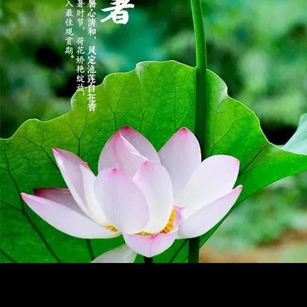未来可期