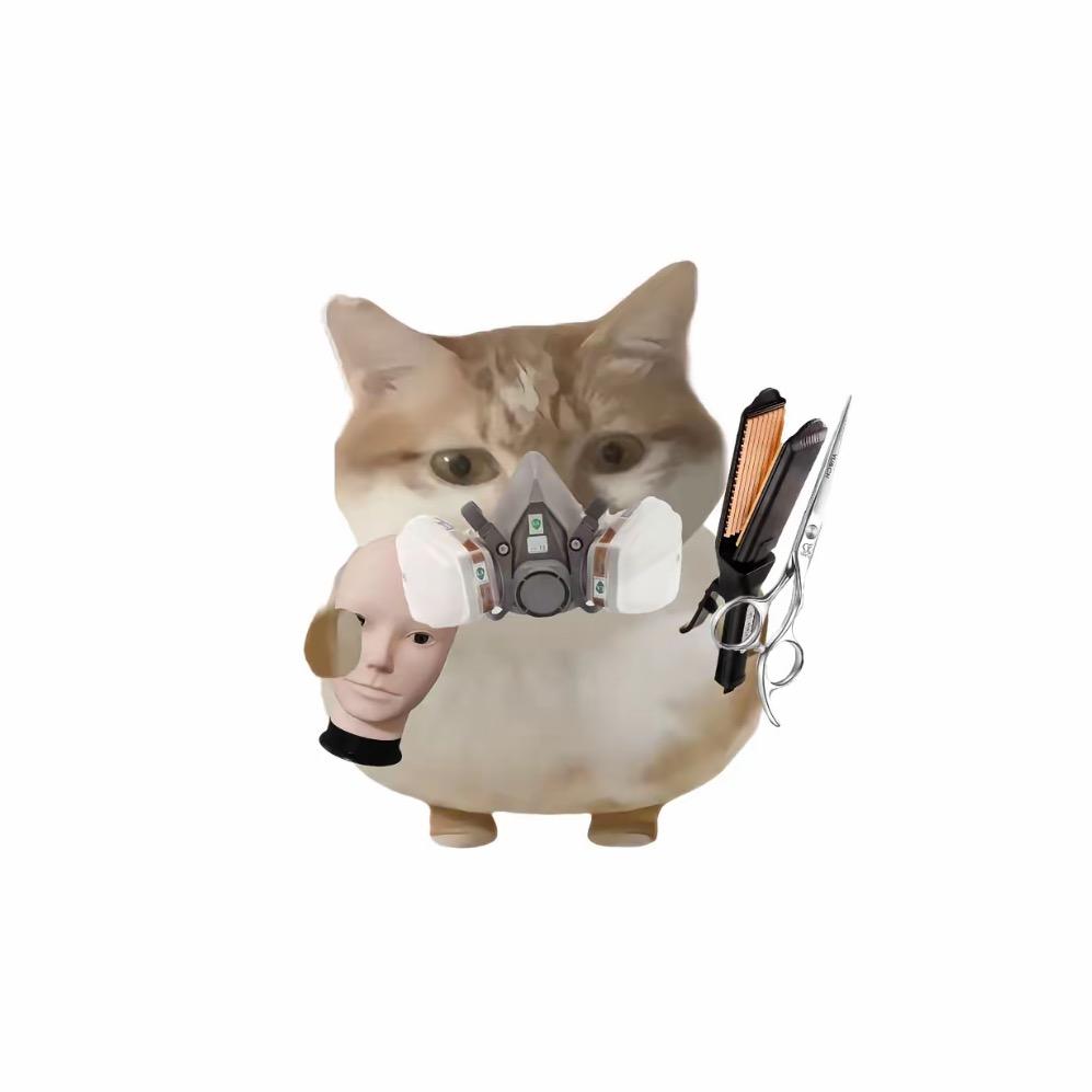 🐷🐷（开单版）