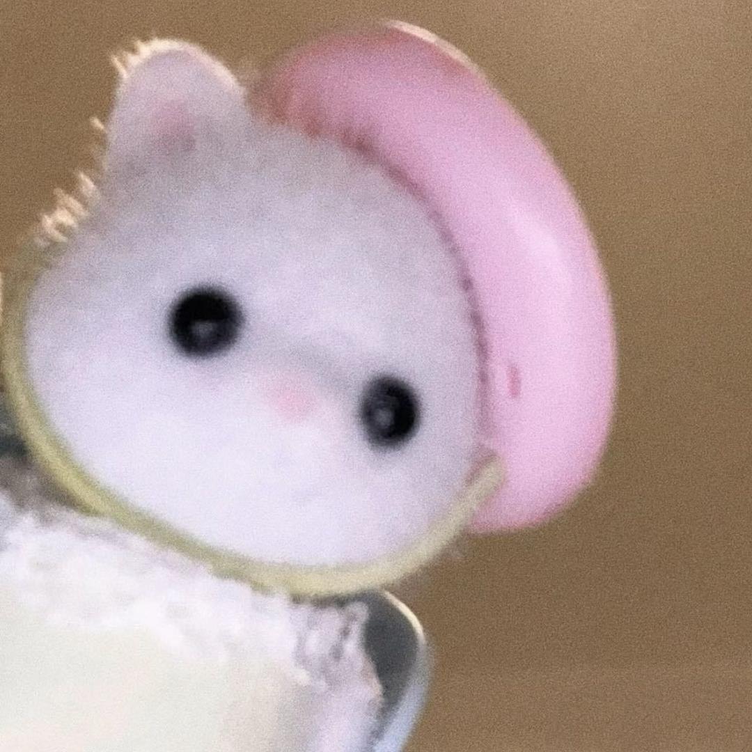 yuuu