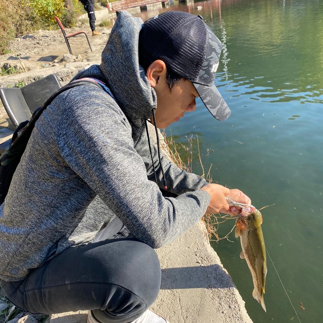 常打龟的程序员