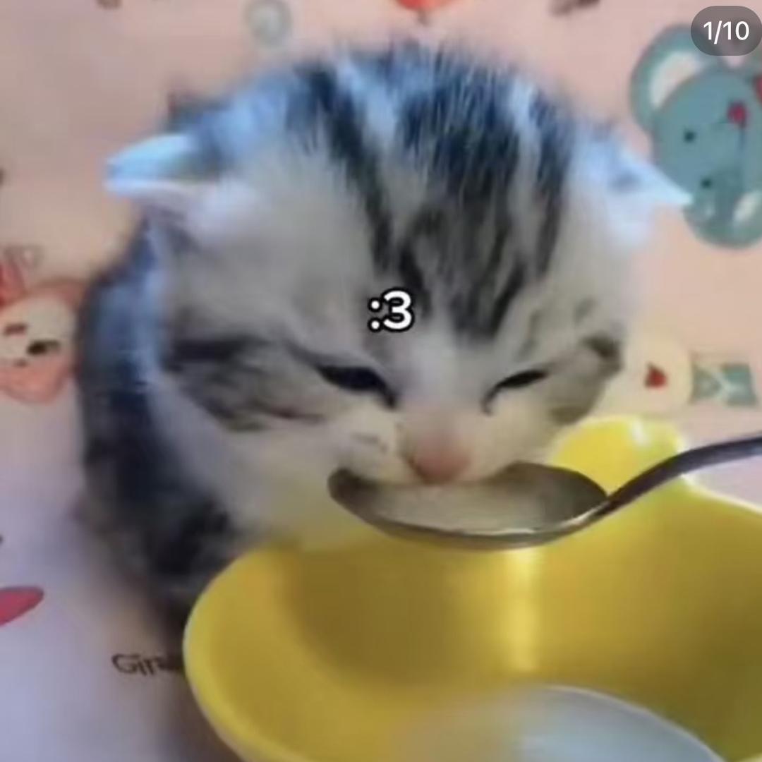 小草的