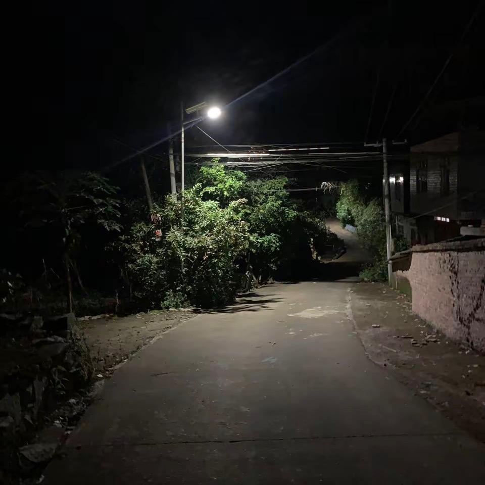 他与月光皆醉