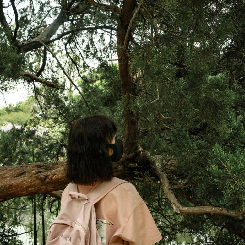 羊驼驼