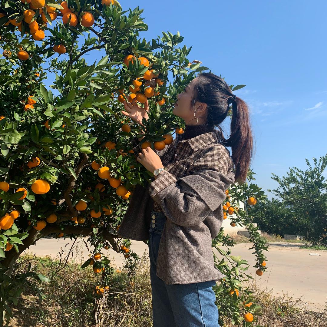 橘山红生态农业甄选