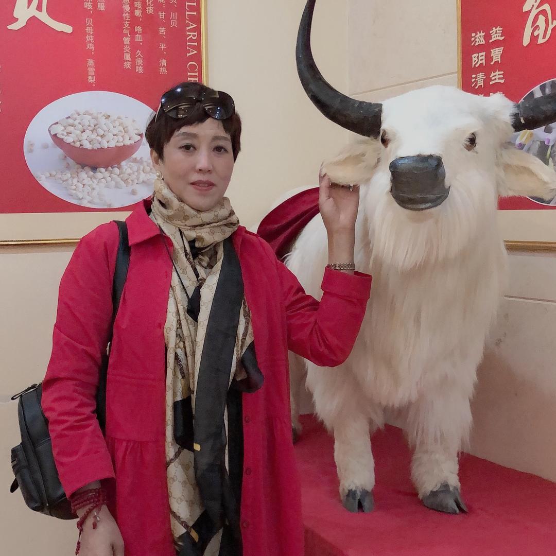 爱尚火锅爱尚你