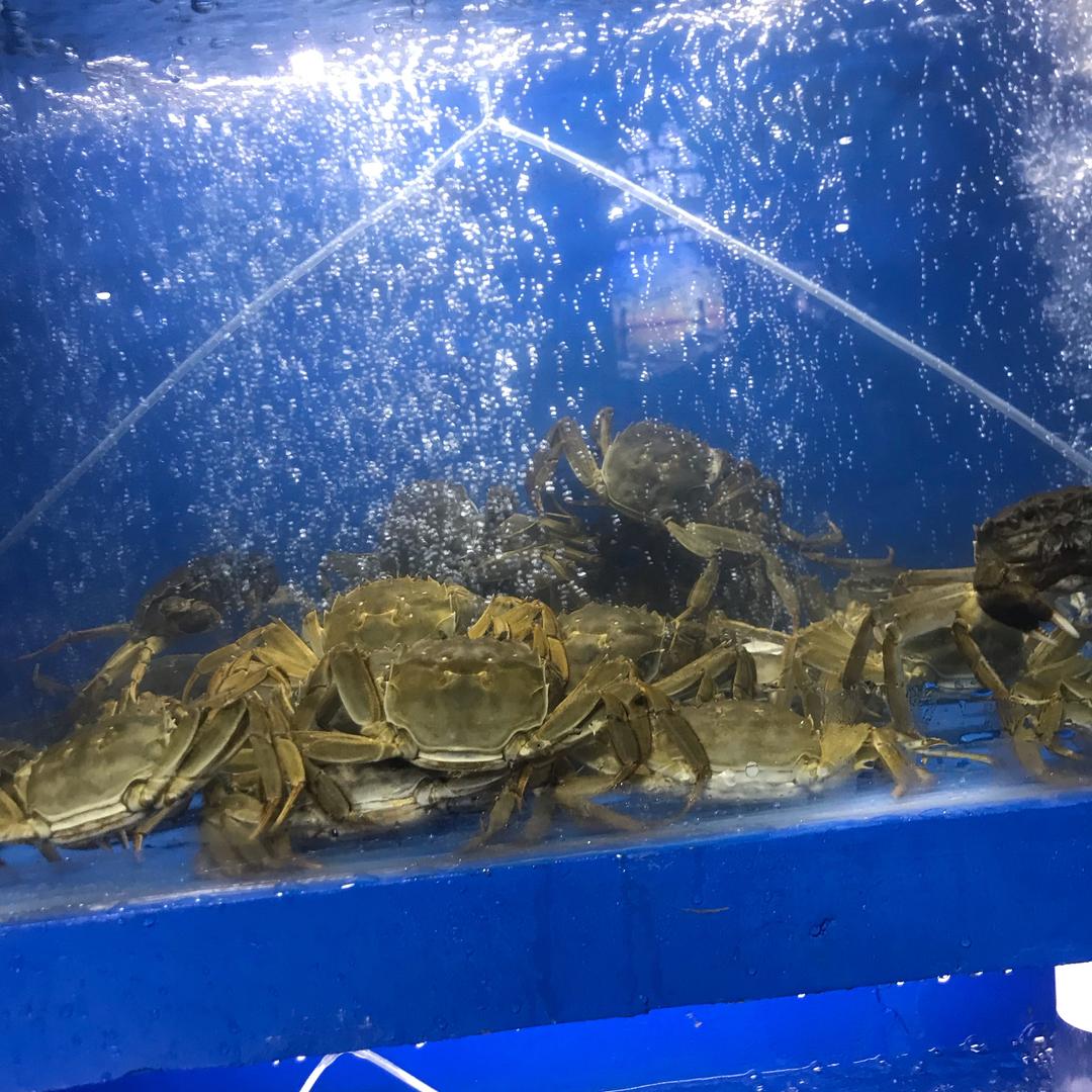 一只小龙虾