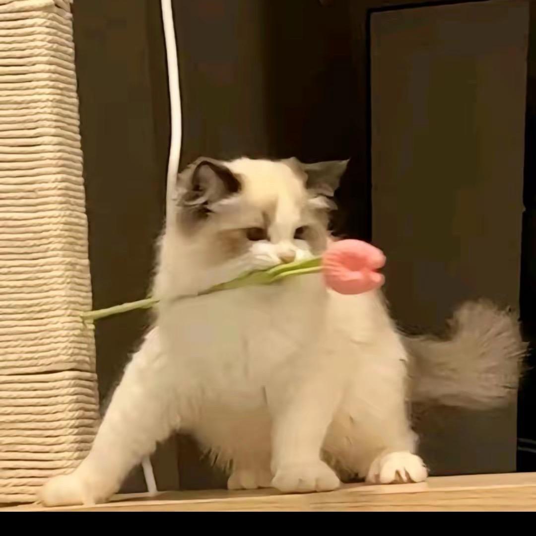 荣禾贤时尚馆