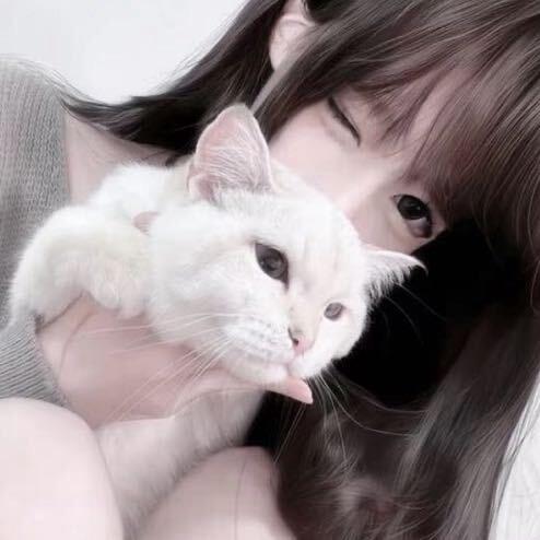 记忆篇