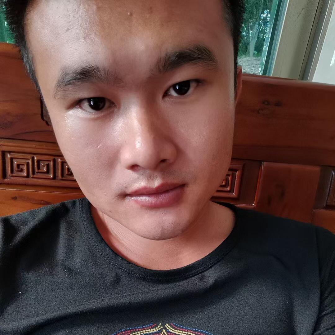 海棠树下的流浪汉
