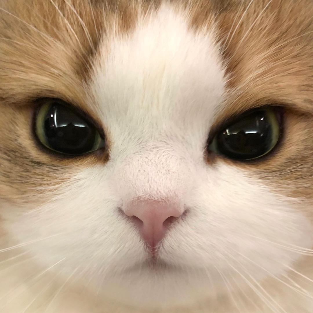 小番茄🍅