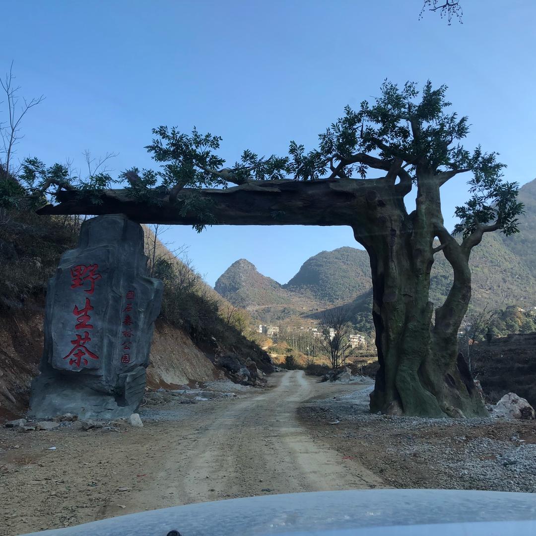 地摊锋云