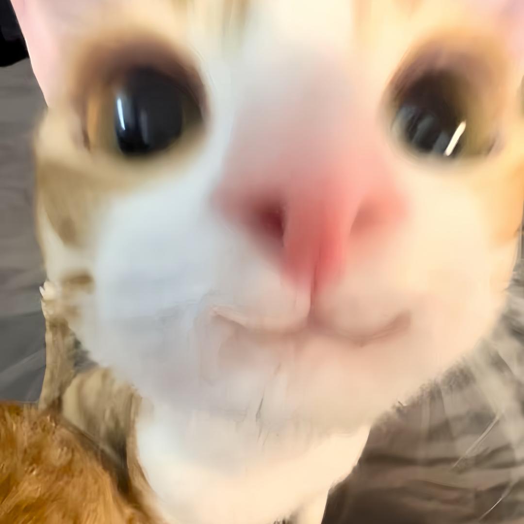 Yao咩咩