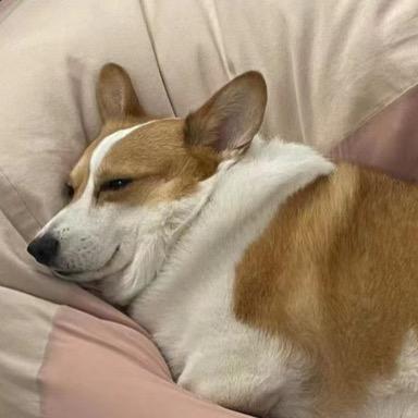 追求理想生活的太阳