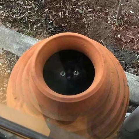 慢话大博