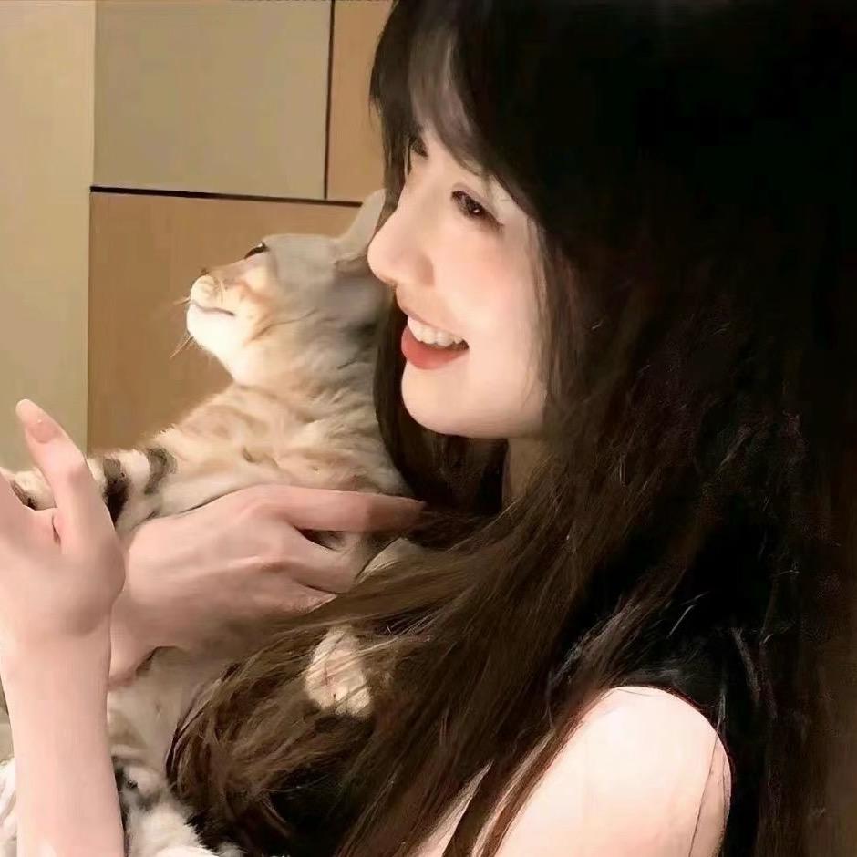 笨蛋菜头