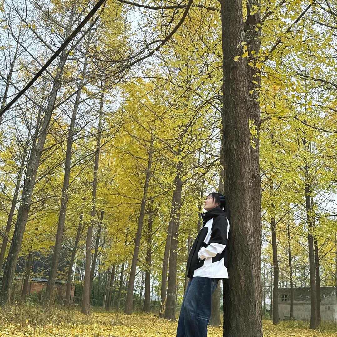 ✨欢颜予清欢✨