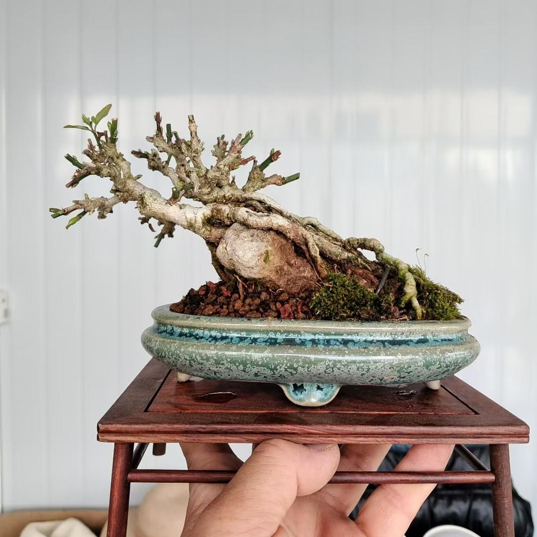 德沛堂