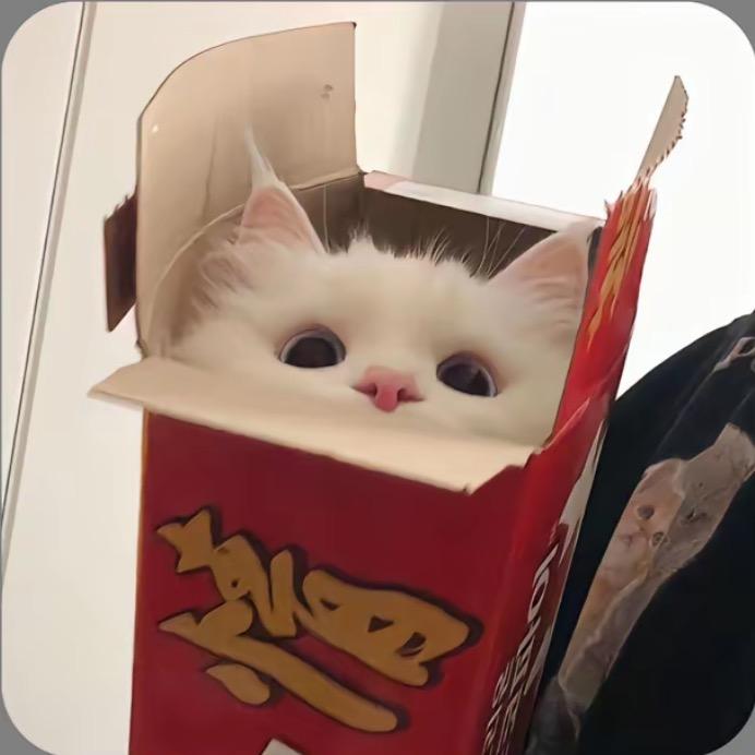 深情姐