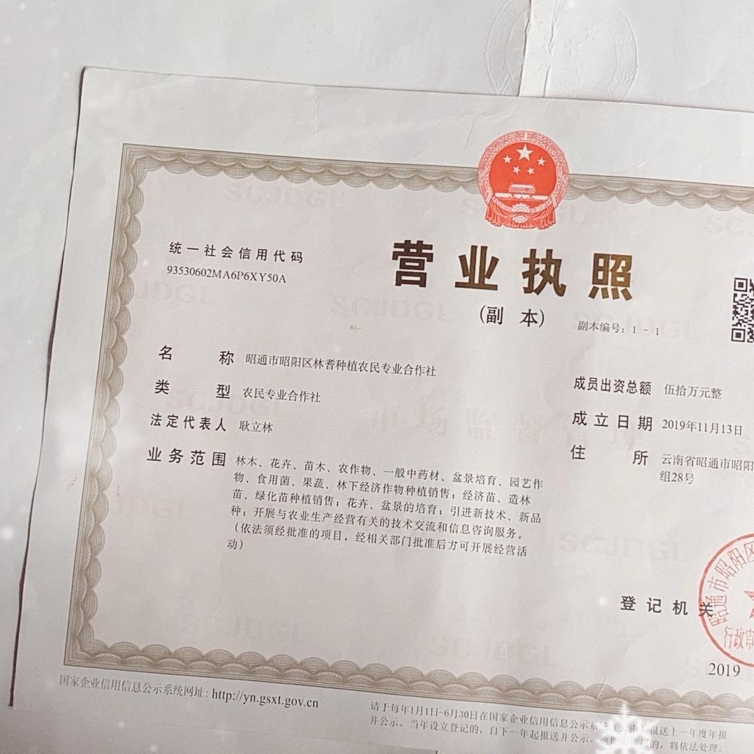 小魏盆景园