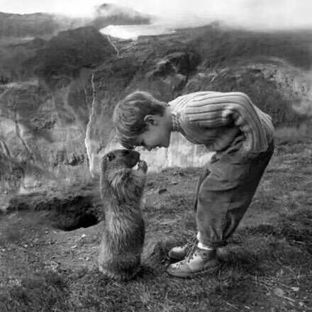 大宝【钱途得道】