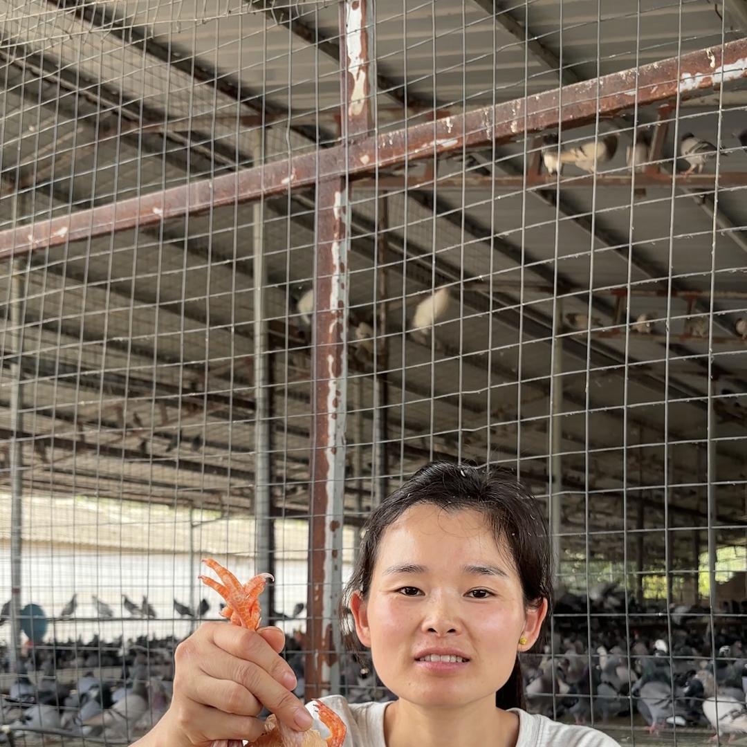小刘家土鸡土鸭土鸽
