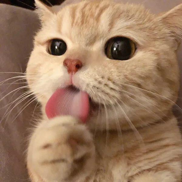 精神的帅气小伙