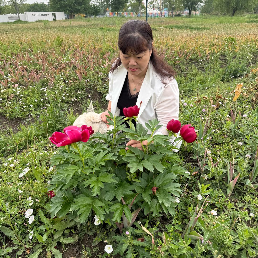 芜湖霞姐
