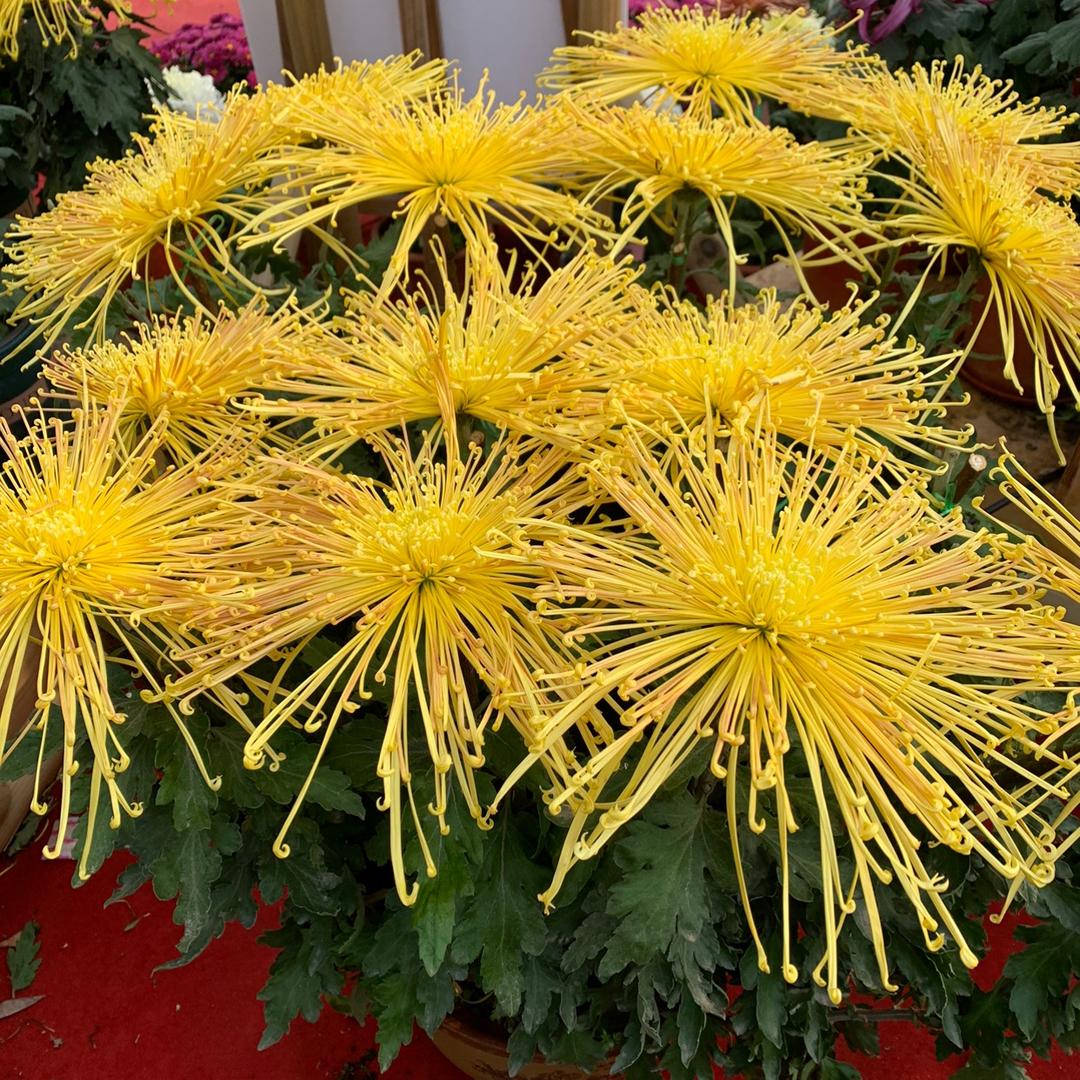 勤勤优选