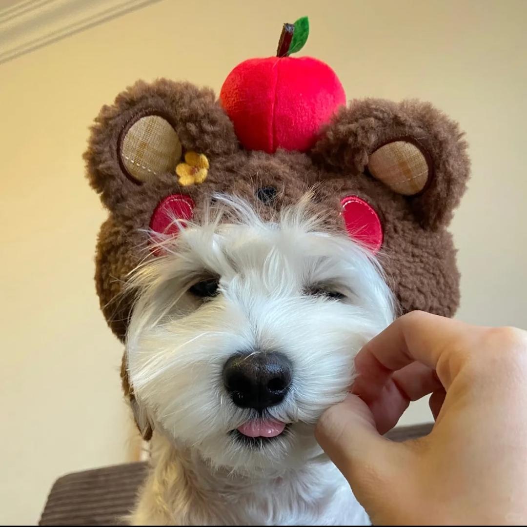 爱唱歌的草莓响铃卷