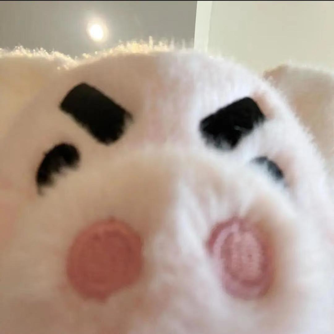 小蛋kOi