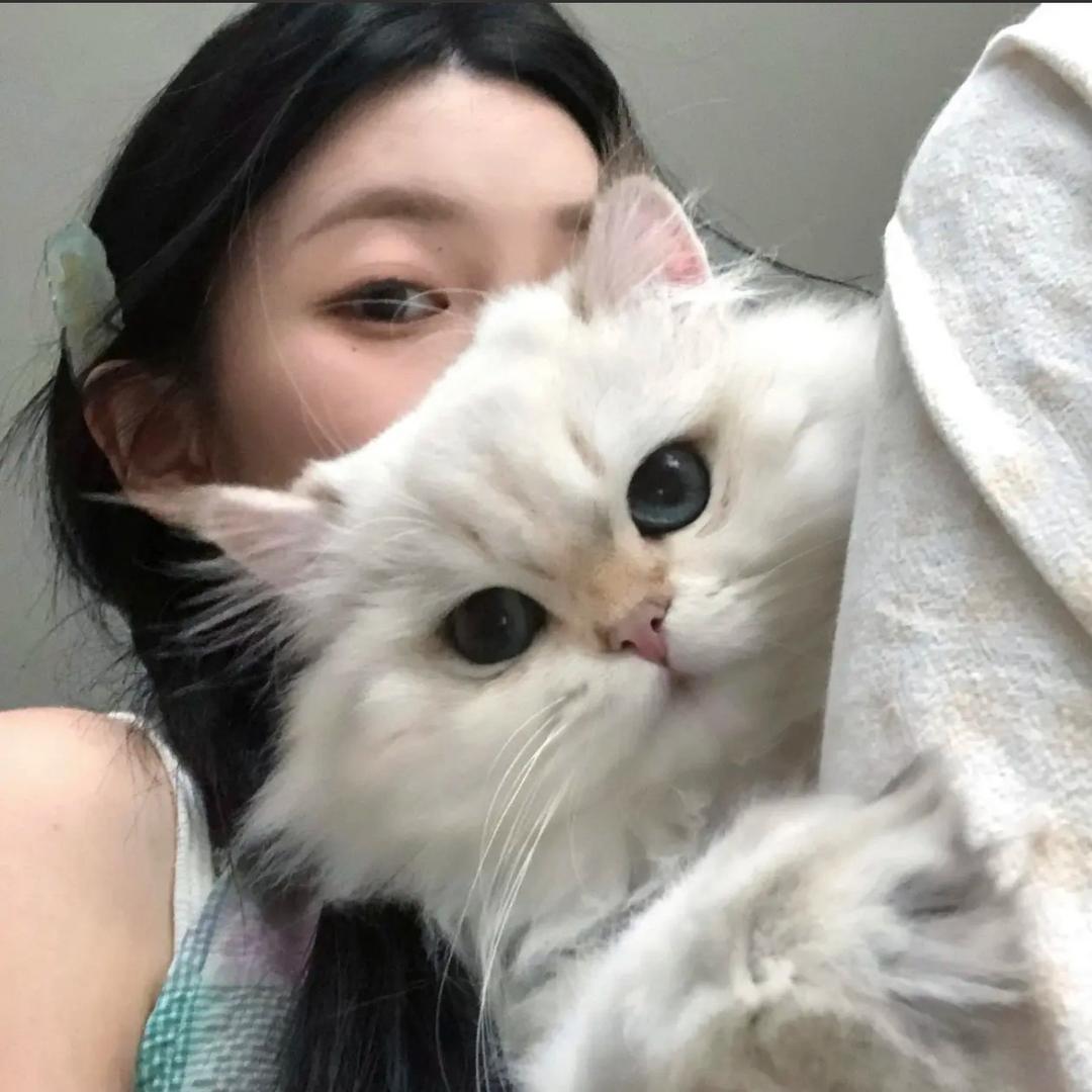 小罐罐