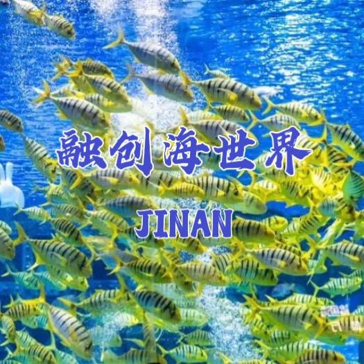 济南融创券券