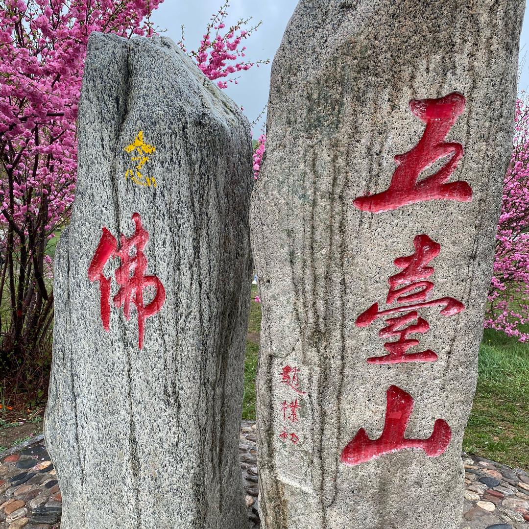 五台山灯嫂