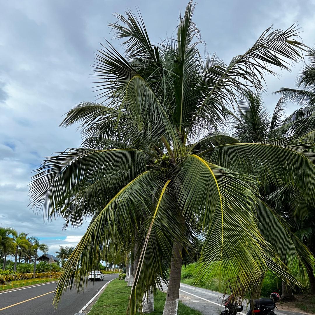 奥盛甄选工厂店
