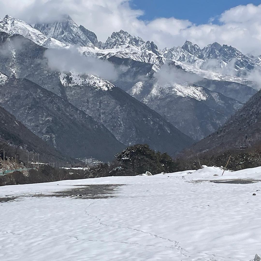 原味柠檬