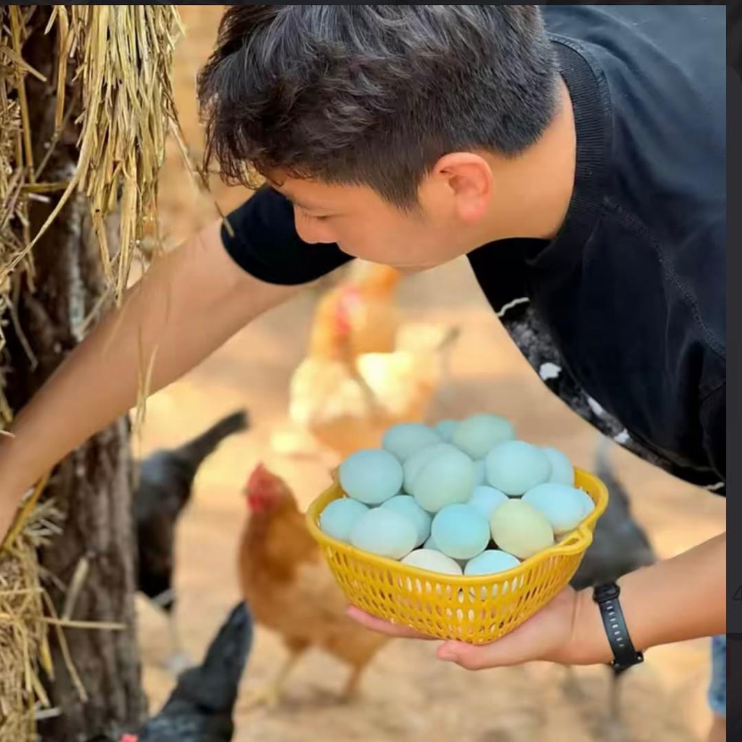小唐钟祥土鸡蛋同城配送